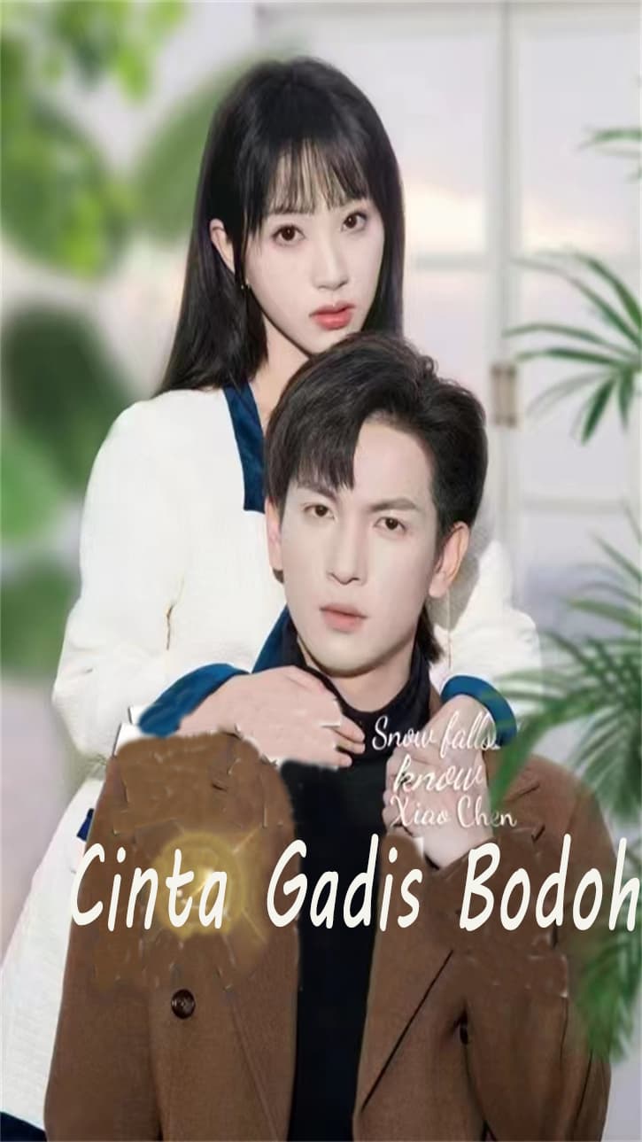 Cinta Gadis Bodoh