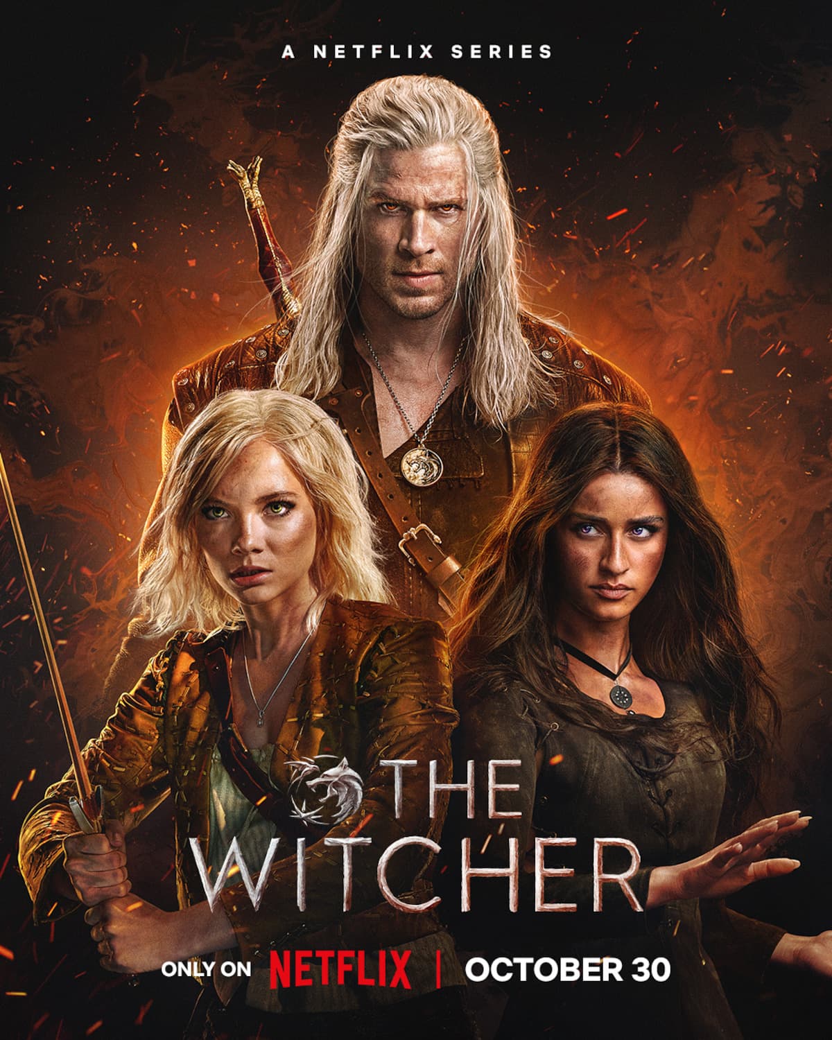 The Witcher S1-S4