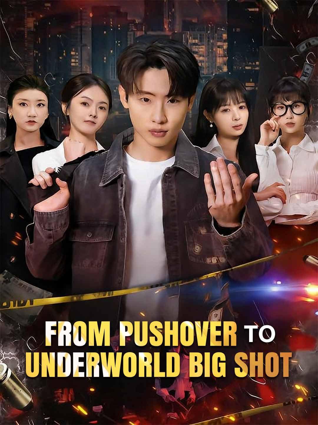 From Pushover to Underworld Big Shot (English-dubbed)