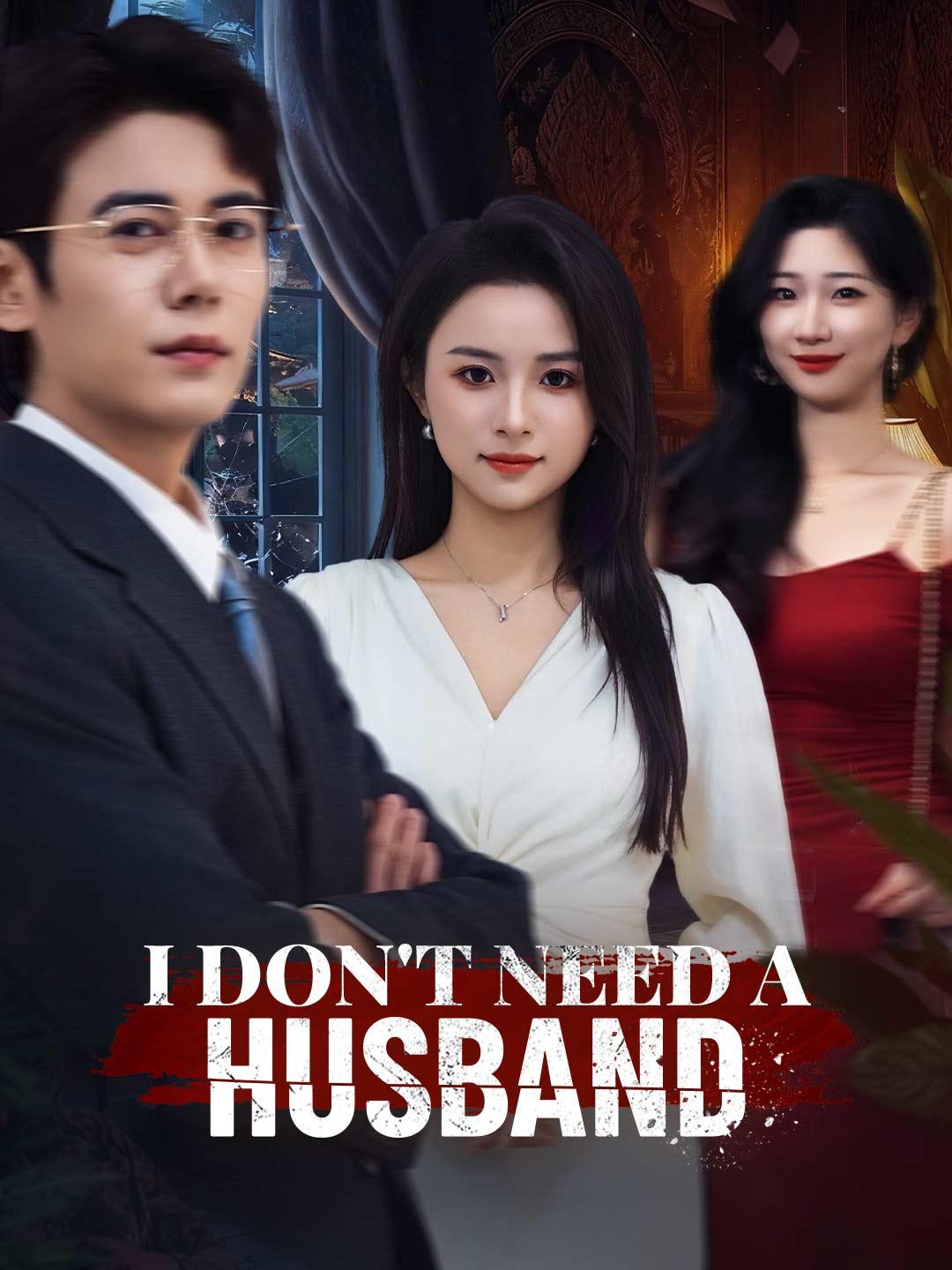 I Don't Need a Husband