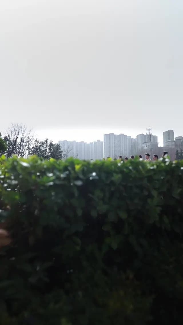 Pengasuh Penakluk Bos