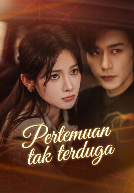 Pertemuan tak terduga